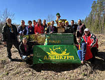 «Дай лесу новае жыццё»