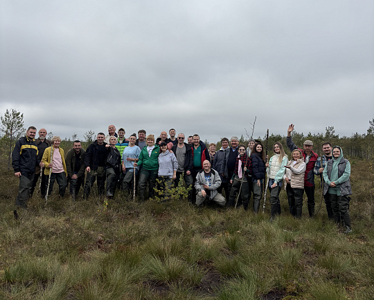Болотными тропами – к новым впечатлениям!