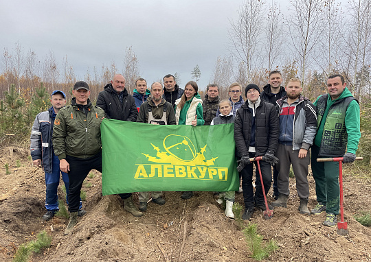 New life of the forest!